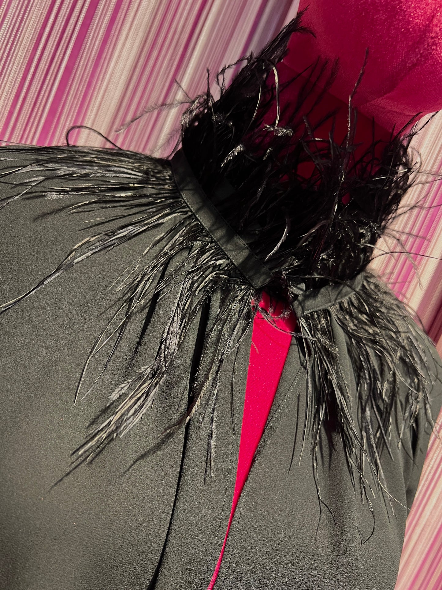 Dahlo blusa nera collo e polsini con piume