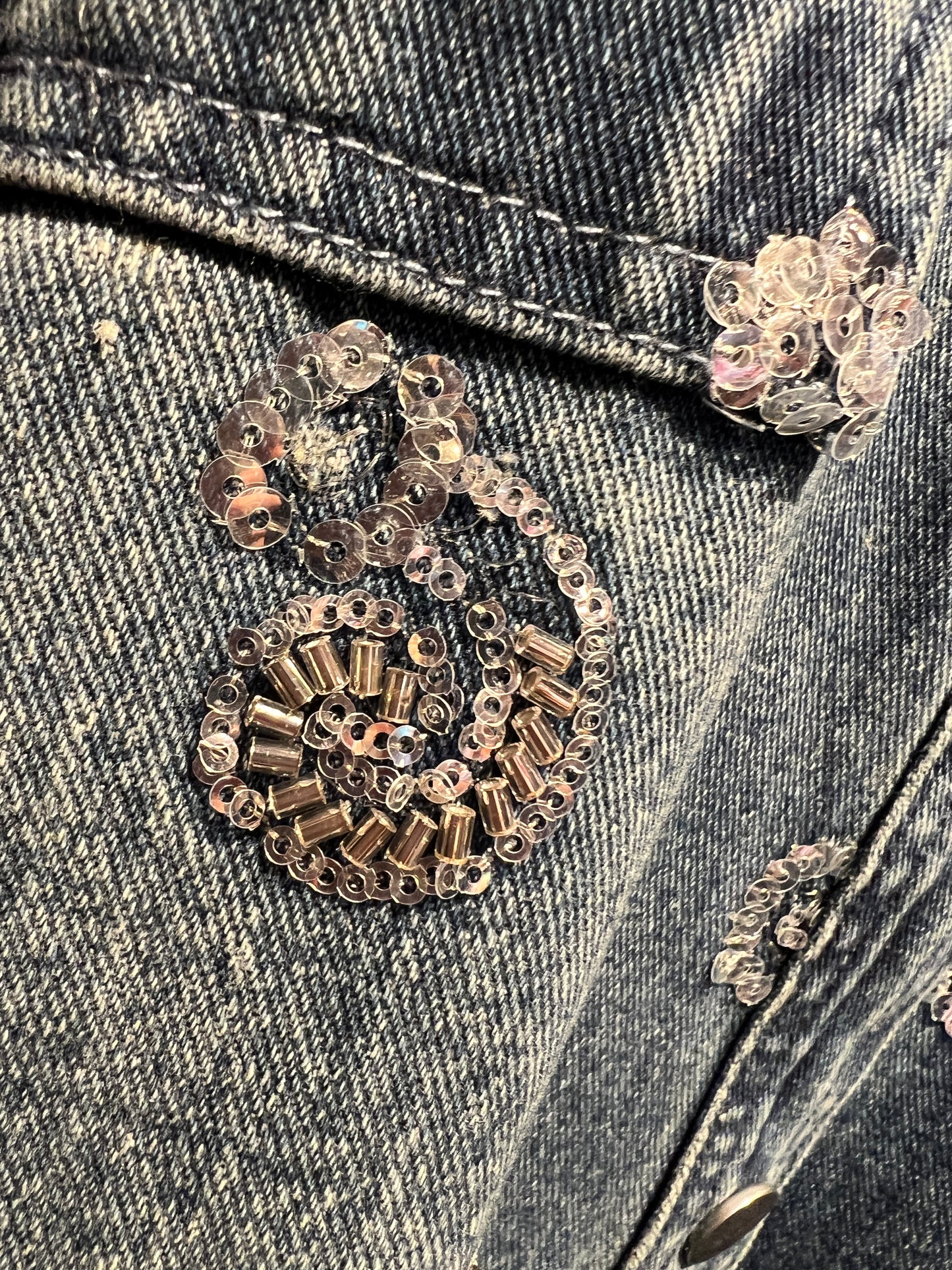 The room camicia jeans con ricami paillettes argento colletto cioccolato