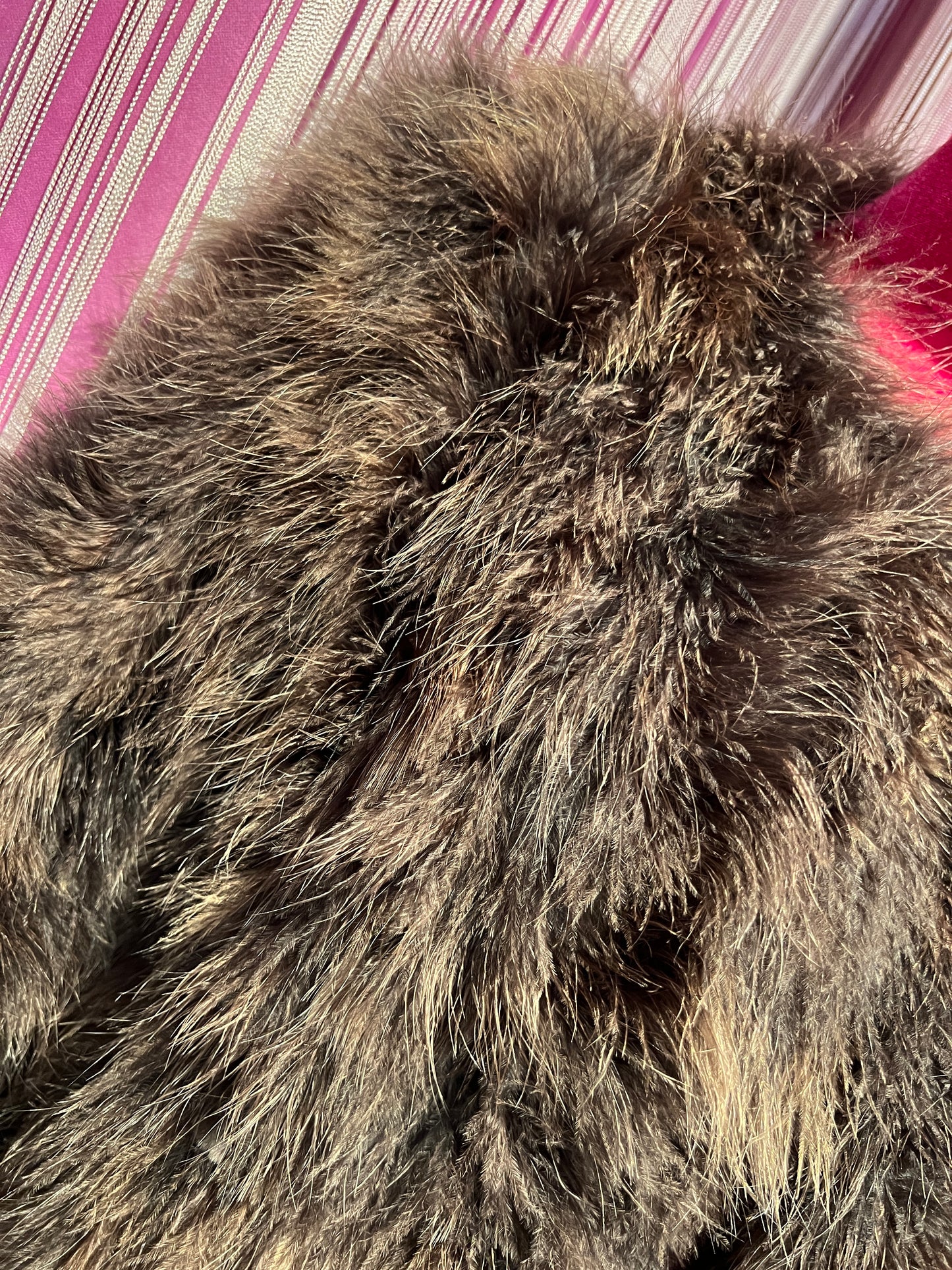 11 Love is glamour cappotto cioccolato piume maniche 3/4