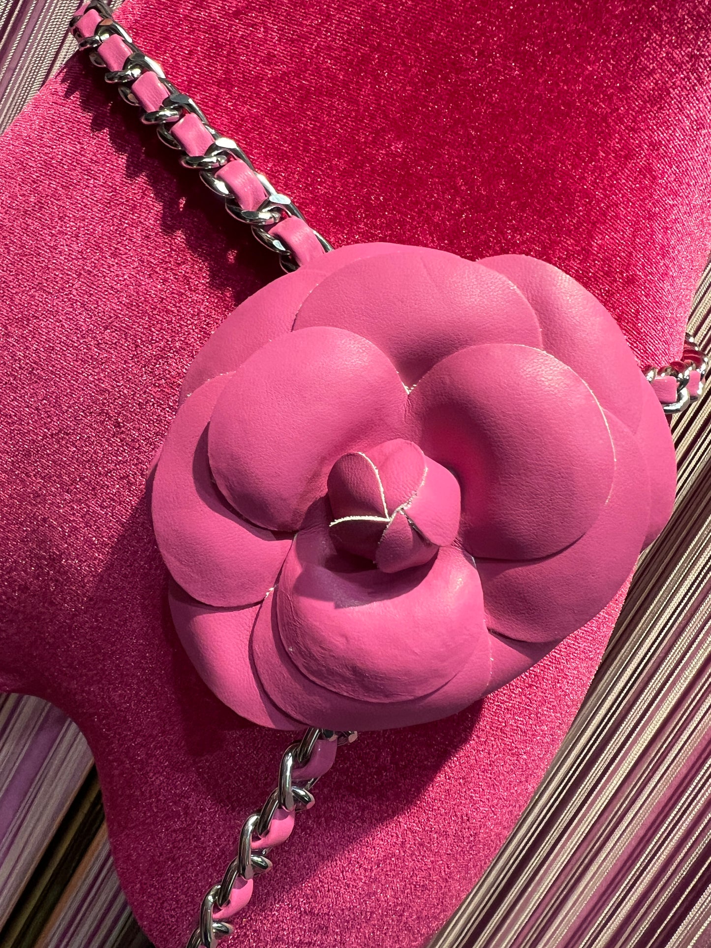 Cintura / collana camelia rosa  con catena argento regolabile